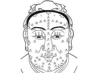 从面相看出你所适合的事业
